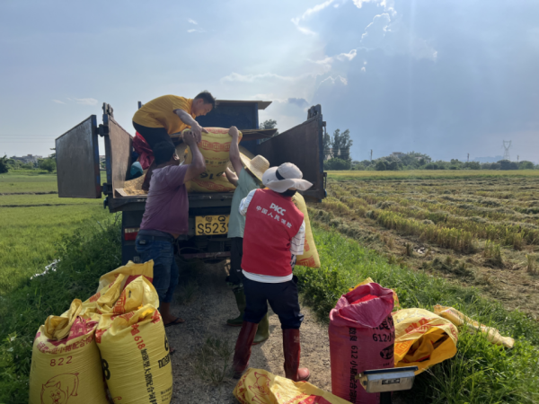 惠红网 南农晨读丨大暑