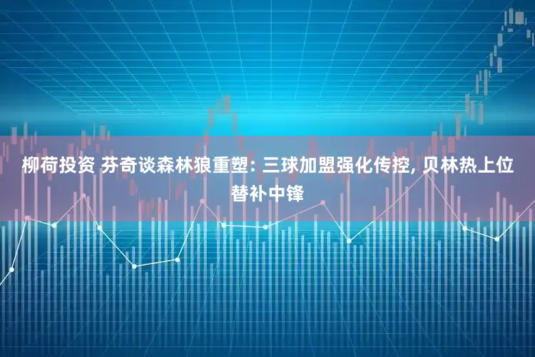 柳荷投资 芬奇谈森林狼重塑: 三球加盟强化传控, 贝林热上位替补中锋